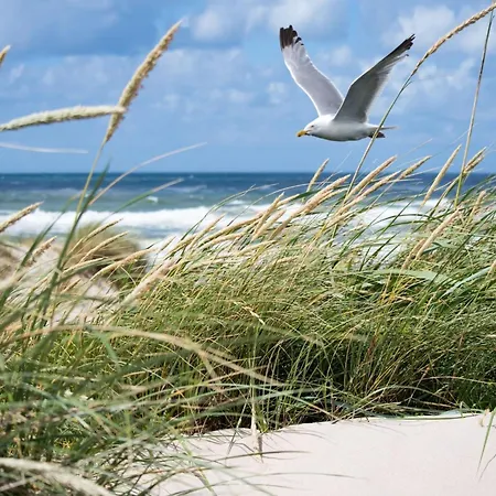 Daire In Belgium With Side Sea View *